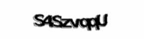 Security check image, please type the characters shown